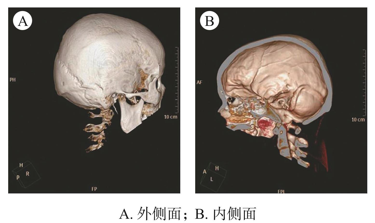 点击查看大图